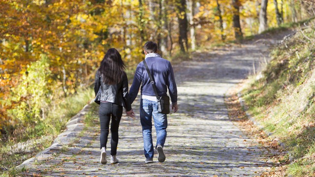 Una pareja paseando por un parque, agarrados de la mano