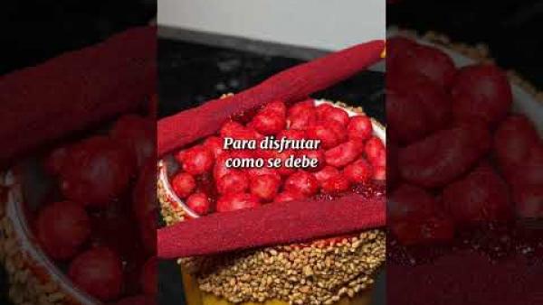 Caminera HOT, exclusiva de Hotel HOT Elite